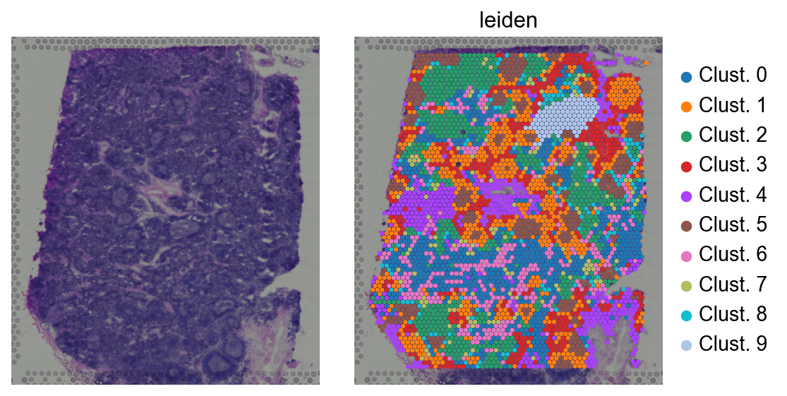 ../_images/notebooks_spatial_10_0.png
