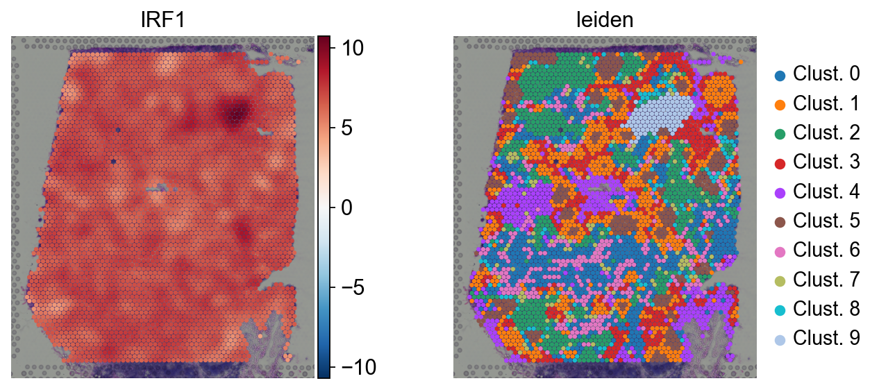 ../_images/notebooks_spatial_29_0.png