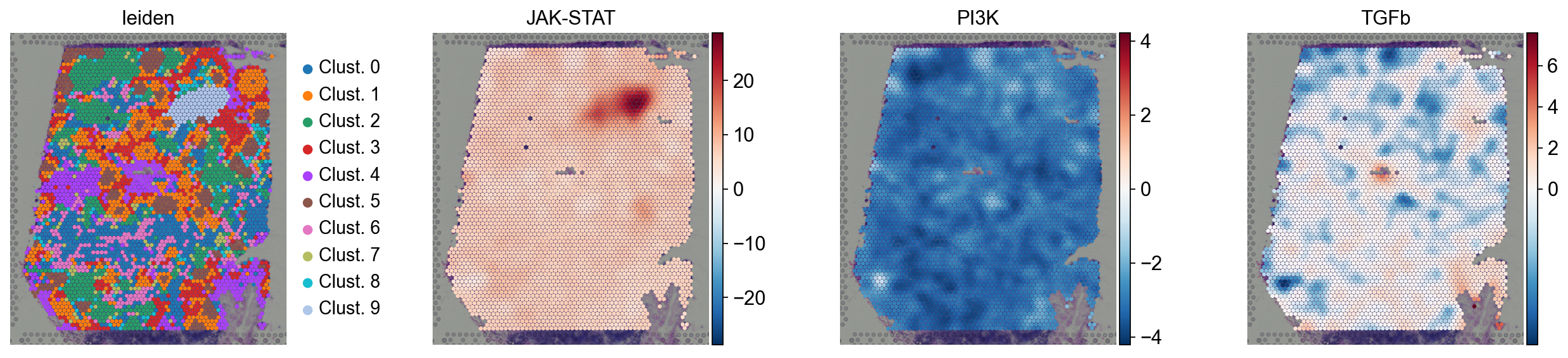 ../_images/notebooks_spatial_54_0.png