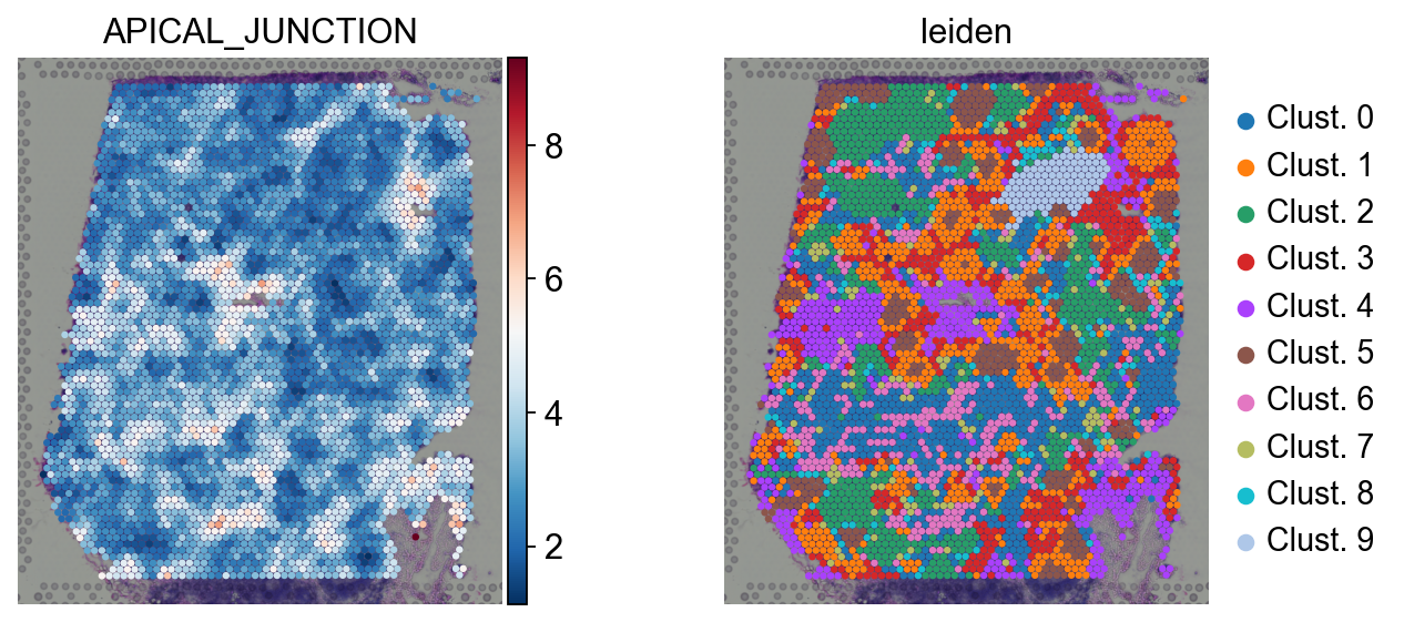 ../_images/notebooks_spatial_66_0.png